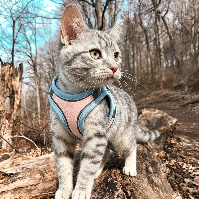 Escape Proof Cat Harness and Leash Set - Adjustable, Soft Mesh Fabric, Lightweight, Sturdy Lock, Stress-Free for Small/Medium Cats